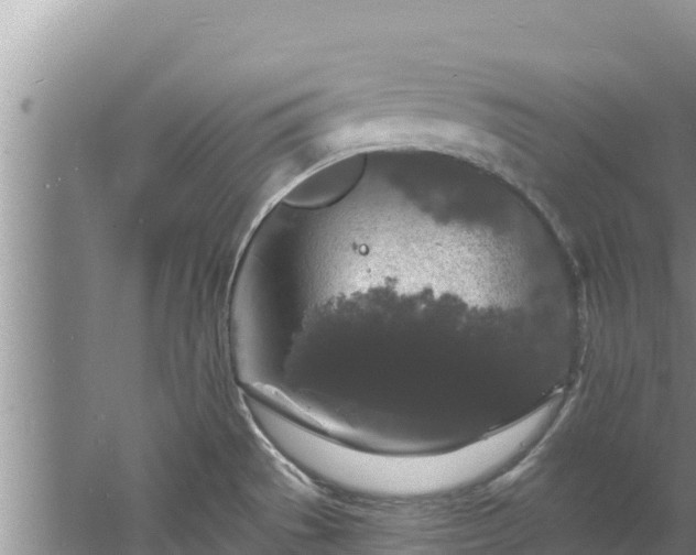 X0000060791529200511141430