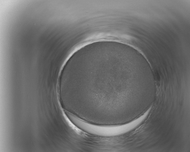 X0000060791531200511141430