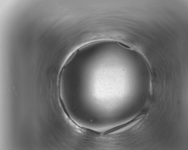 X0000060791532200511141430