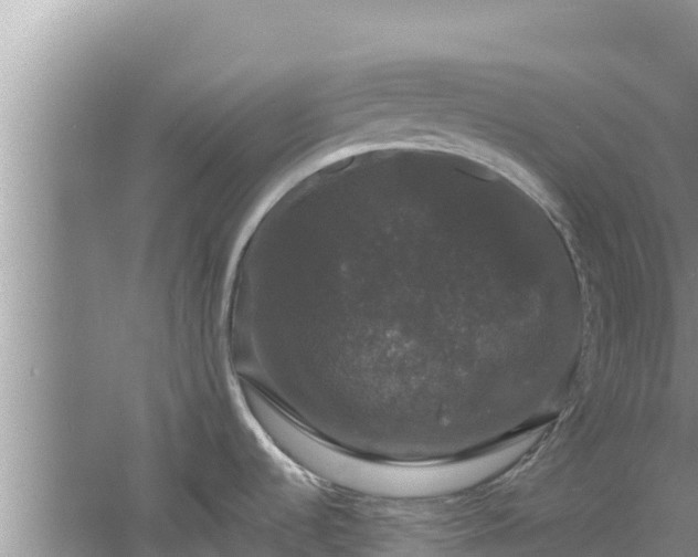 X0000060791536200511141430