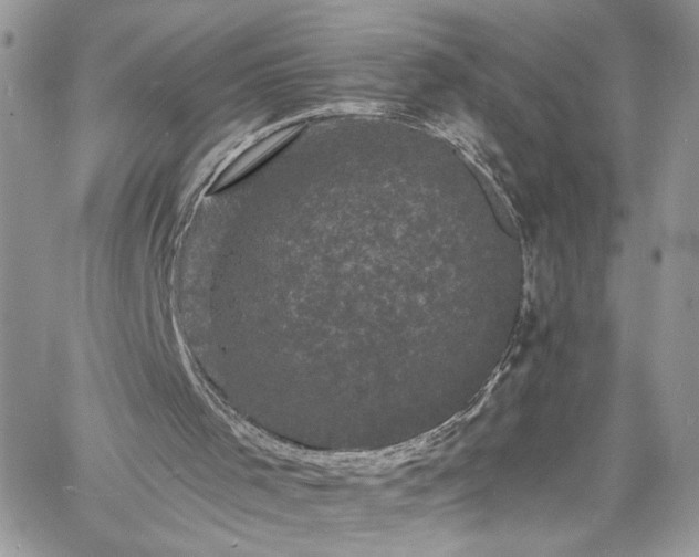 X0000060790001200511171320