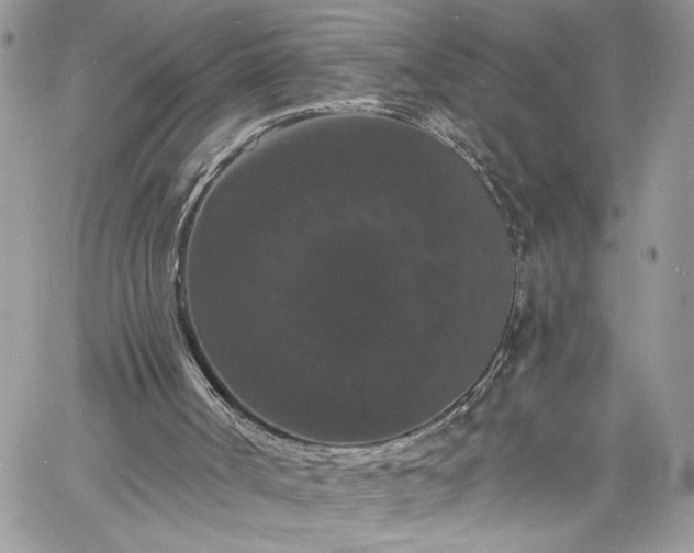 X0000060790002200511171320