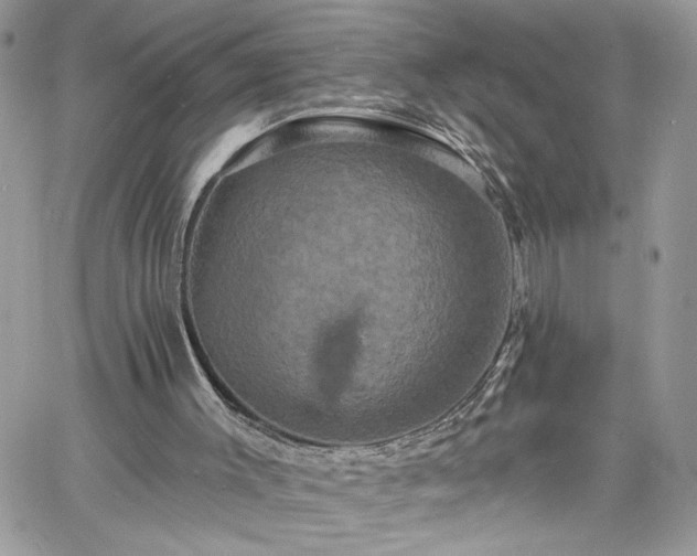 X0000060790003200511171320