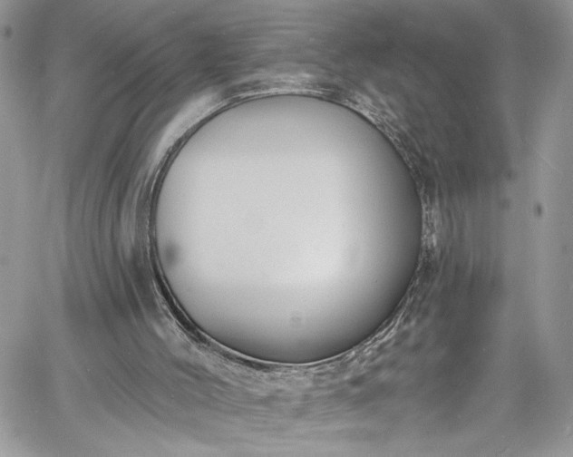 X0000060790004200511171320