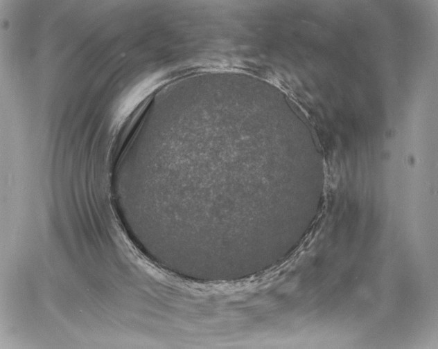 X0000060790005200511171320