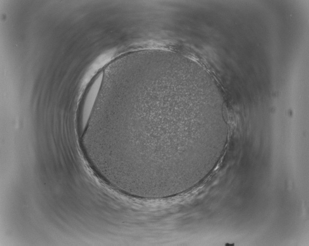 X0000060790006200511171320