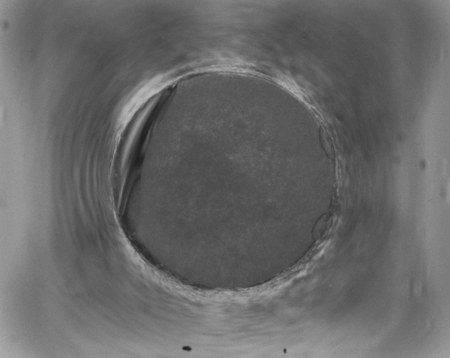 X0000060790007200511171320