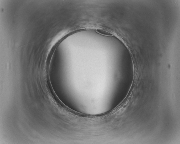 X0000060790008200511171320