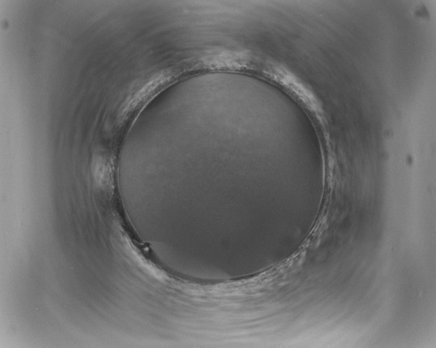 X0000060790009200511171320