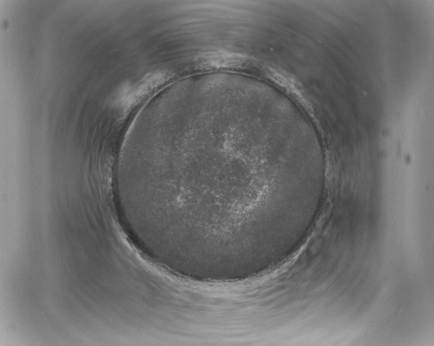 X0000060790010200511171320