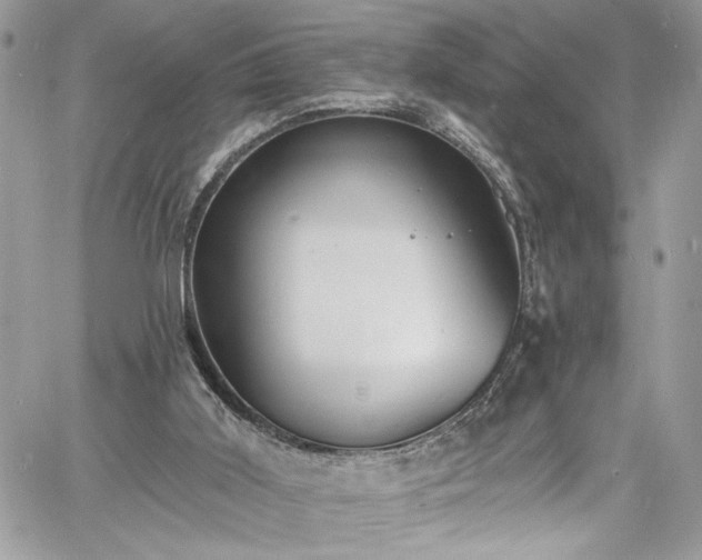 X0000060790011200511171320