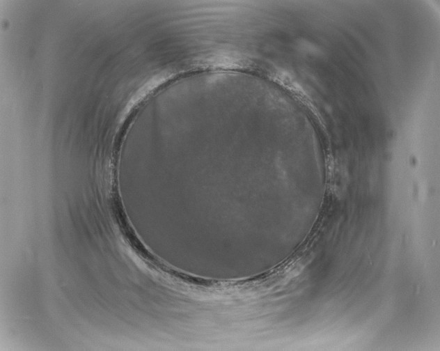 X0000060790012200511171320