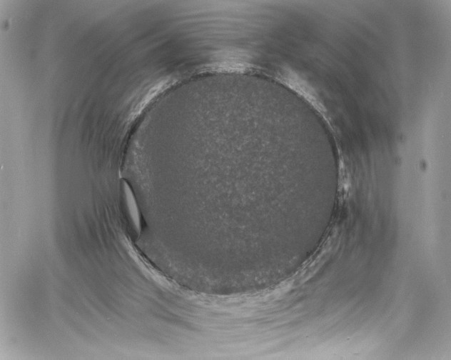 X0000060790013200511171320