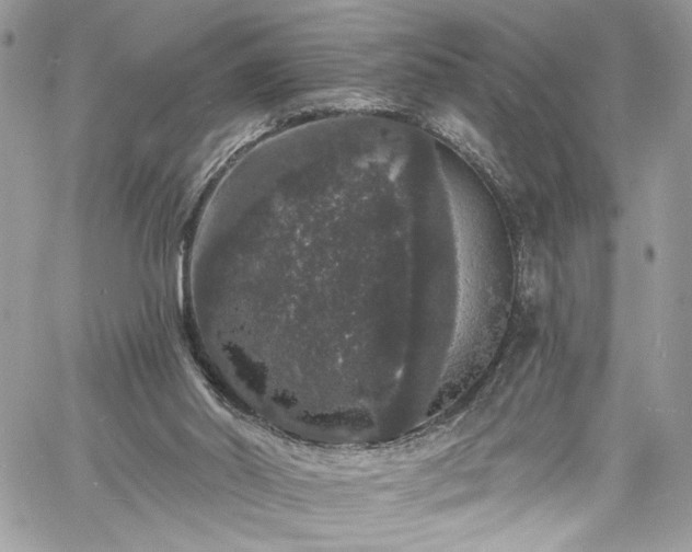 X0000060790014200511171320