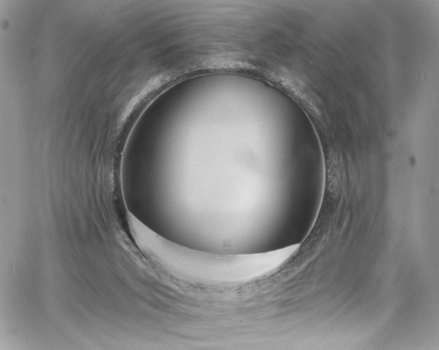 X0000060790015200511171320