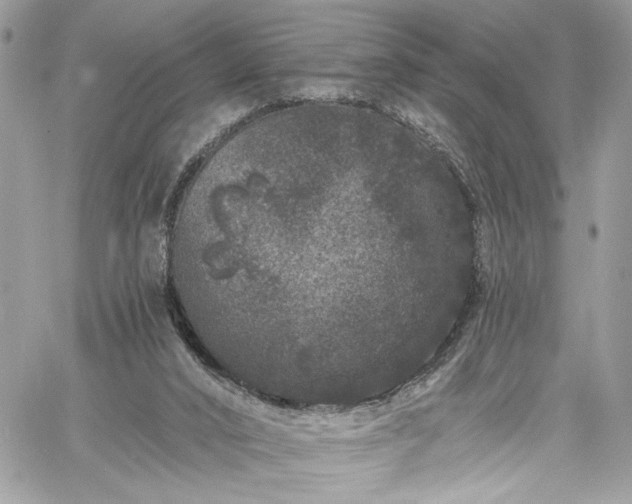 X0000060790016200511171320