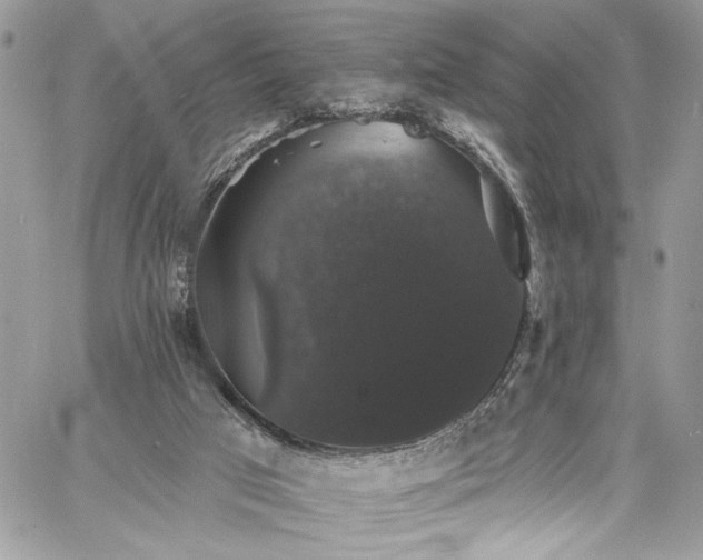 X0000060790017200511171320