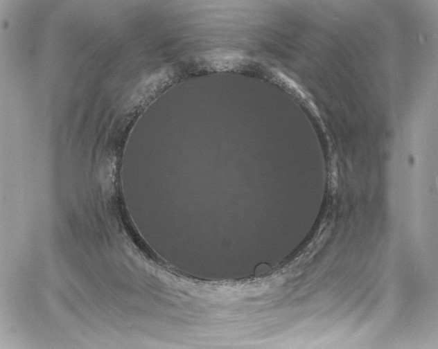 X0000060790018200511171320