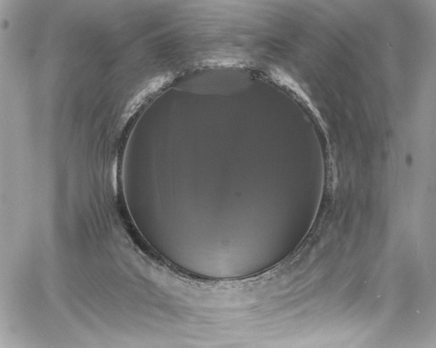 X0000060790019200511171320