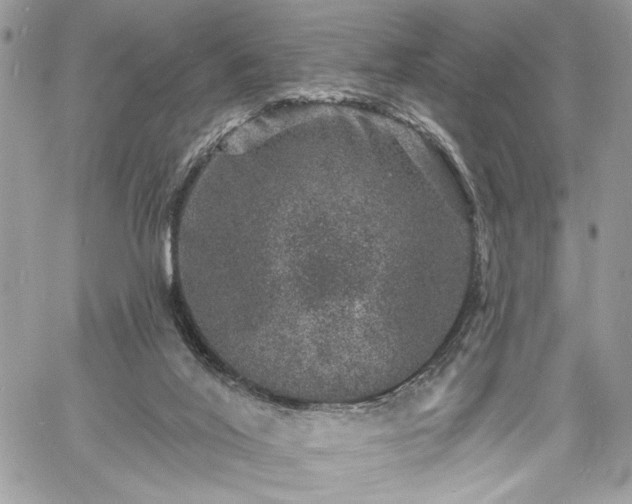 X0000060790020200511171320