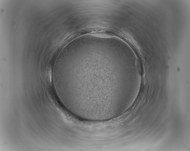 X0000060790021200511171320