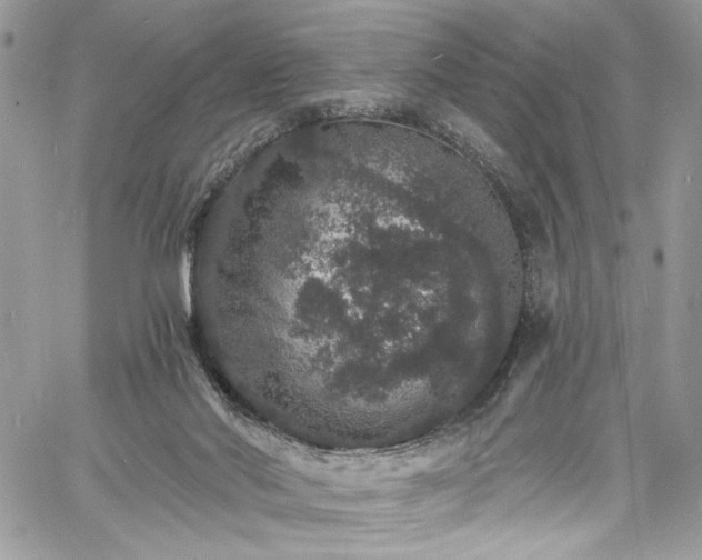 X0000060790022200511171320