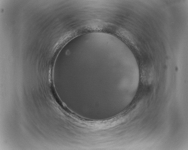 X0000060790023200511171320