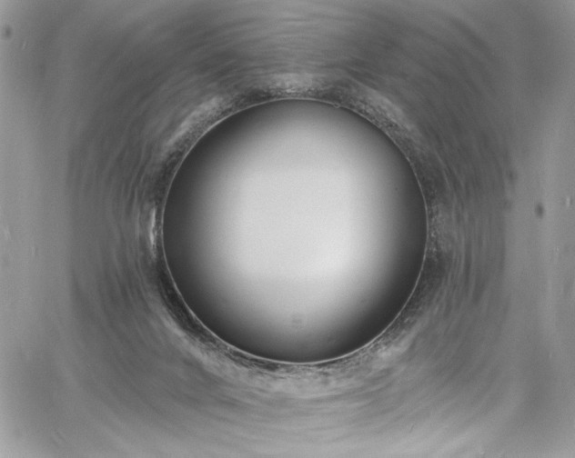 X0000060790024200511171320