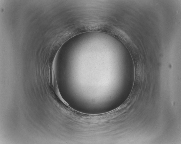 X0000060790025200511171320