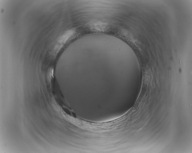 X0000060790027200511171319