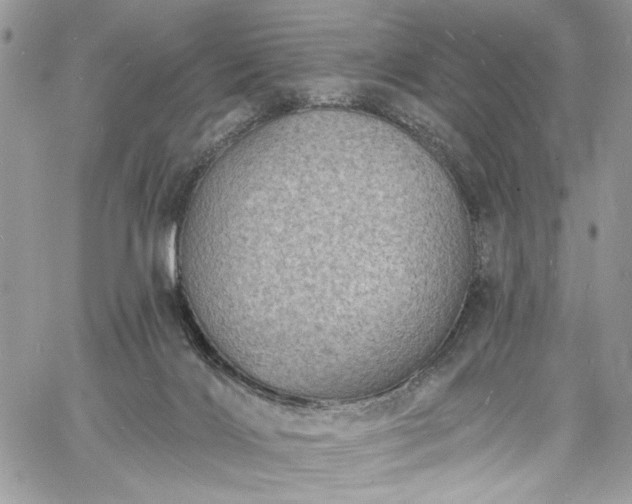 X0000060790028200511171319