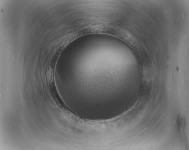 X0000060790029200511171319