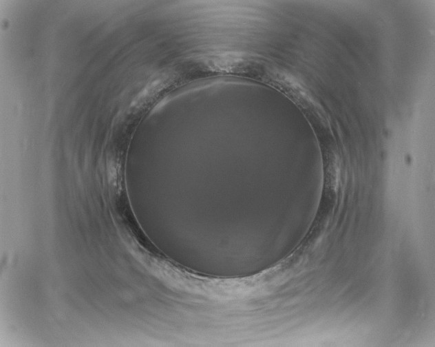 X0000060790031200511171319