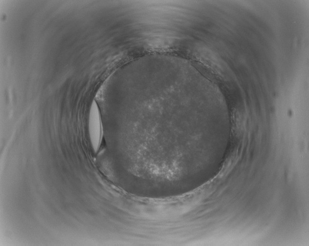 X0000060790033200511171319