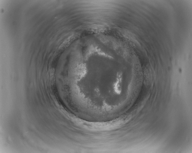 X0000060790034200511171319