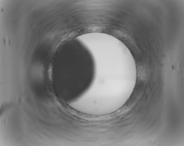 X0000060790036200511171319