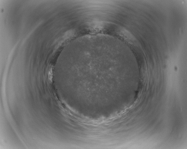 X0000060790037200511171319