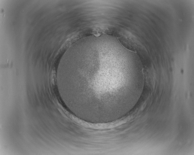 X0000060790038200511171319