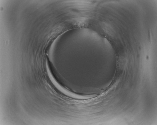 X0000060790039200511171319