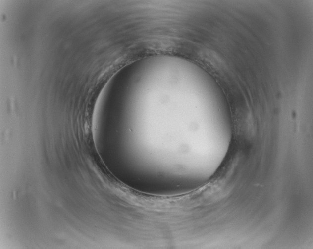 X0000060790040200511171319