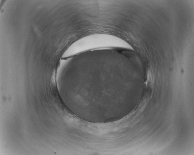 X0000060790041200511171319