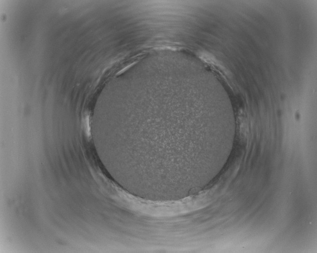 X0000060790042200511171319