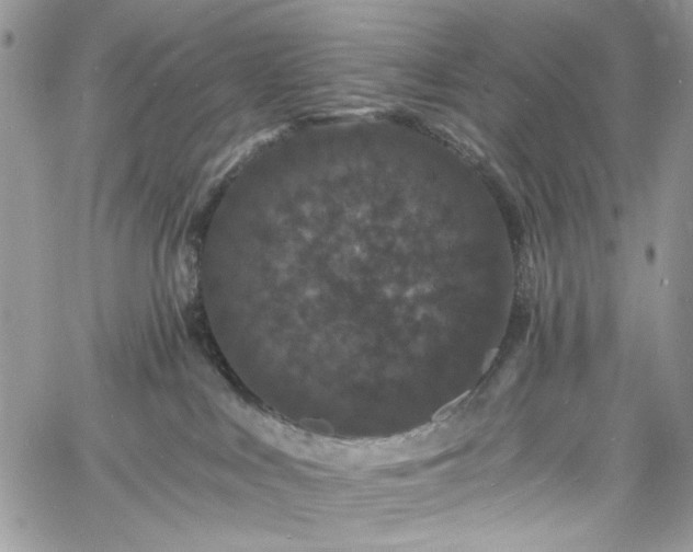 X0000060790043200511171319