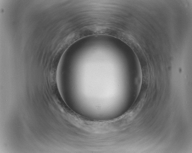 X0000060790044200511171319