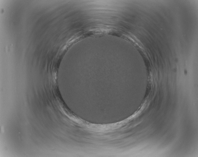 X0000060790045200511171319