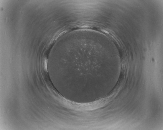 X0000060790046200511171319