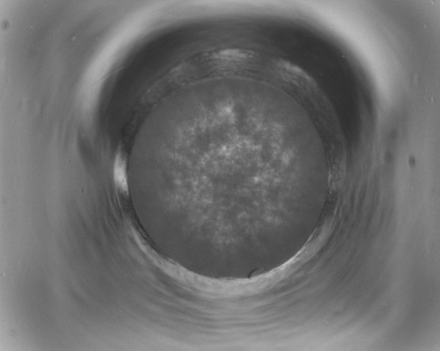 X0000060790047200511171319