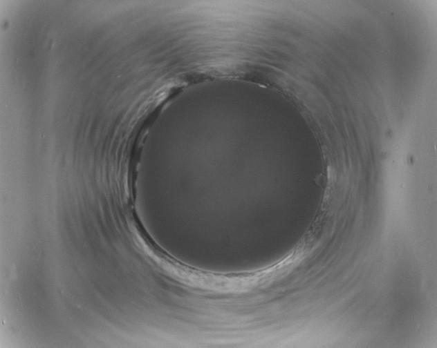 X0000060790048200511171319