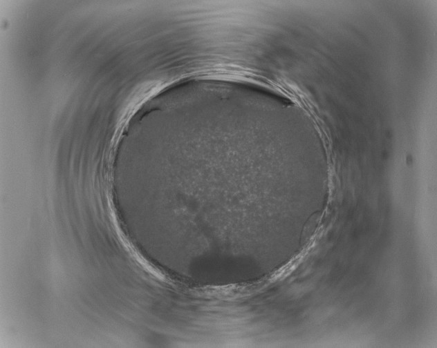 X0000060790049200511171318