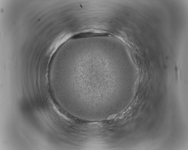 X0000060790050200511171318